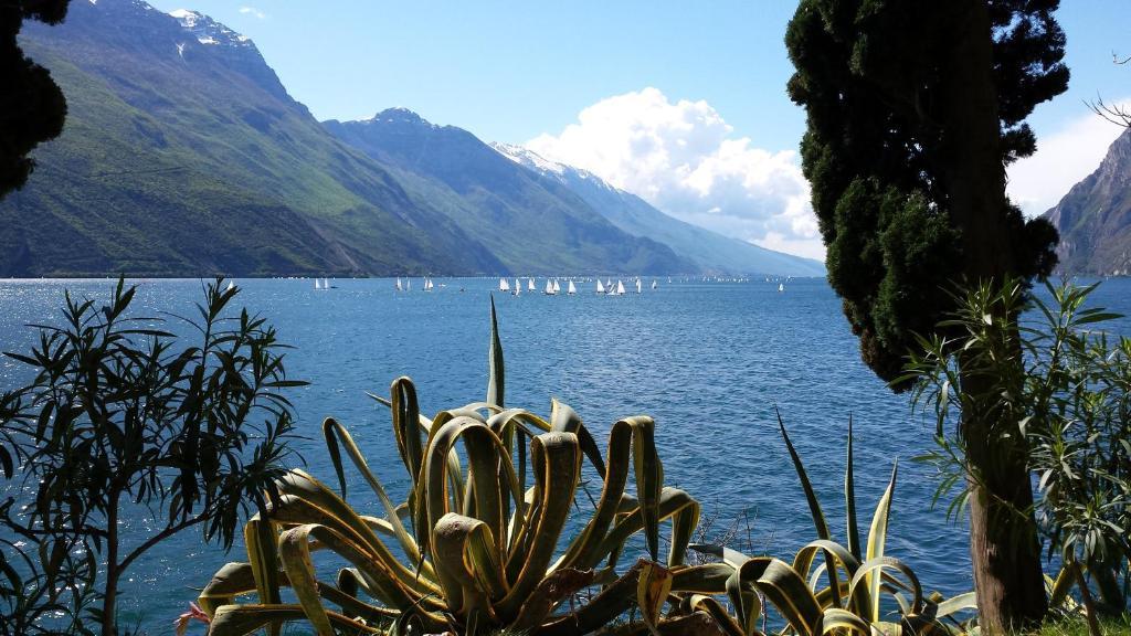 Hotel Angelini Torbole Sul Garda Luaran gambar